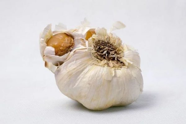 How Long Does Garlic Last? (Also if kept In the Fridge)