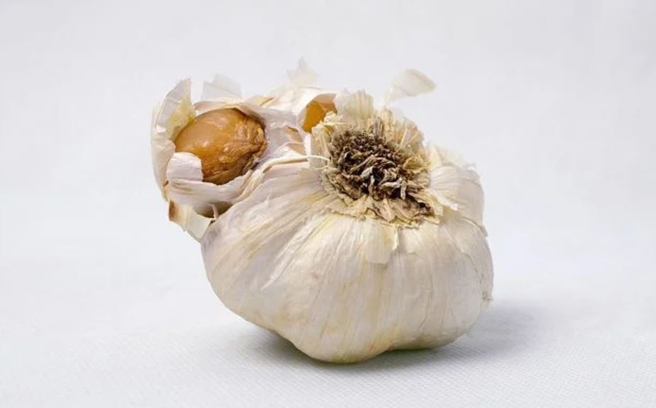 How Long Does Garlic Last