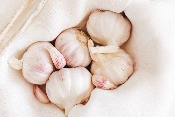 Stages of Garlic Growth: Watch Your Garlic Grow!