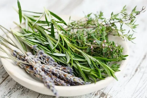 Thyme vs Rosemary | Which is Better & Possible Substitutes